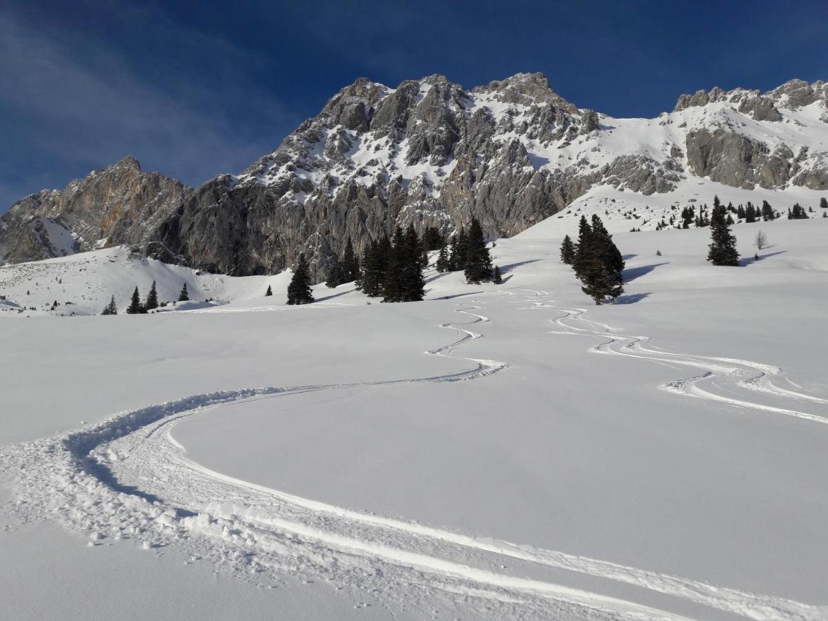 Appartement Gipfelblick- Tiroler Zugspitze Arena In Biberwier Esterno foto